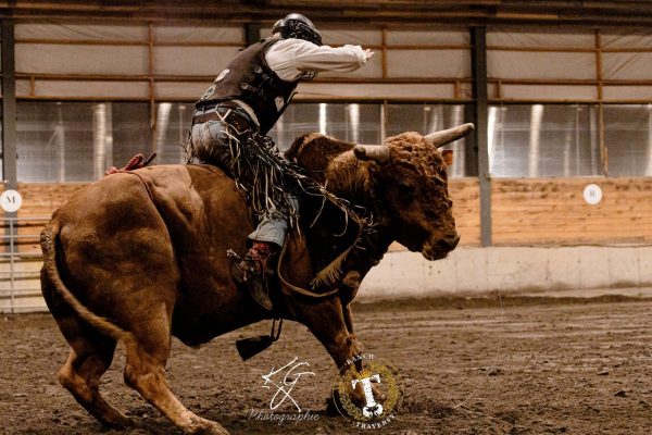 rodeo_ranch_traversy_bull_rider