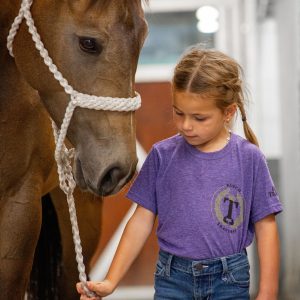 Chandail Mauve Ranch Traversy (Unisexe)